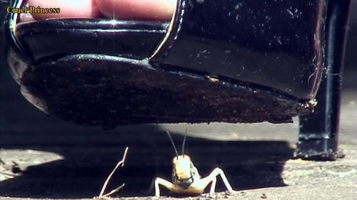 Jo Crushes And Cigarette Torment For Locusts
