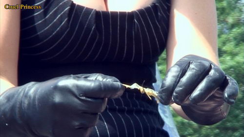 Jo Crushes And Cigarette Torment For Locusts