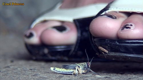 Jo Crushes And Cigarette Torment For Locusts