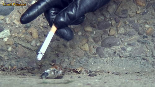 Jo Crushes And Cigarette Torments Snails