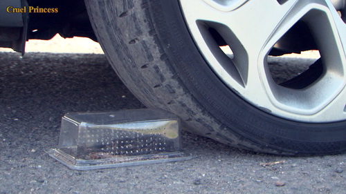 Ice & Rhianna Car Crushing Locusts