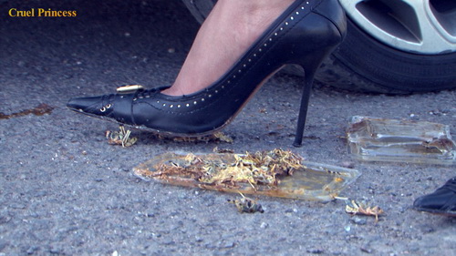 Ice & Rhianna Car Crushing Locusts