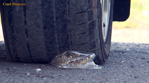 Ice & Rhianna Car Crushing Locusts