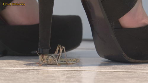 Vixen High Heels V Locust & Mealworm