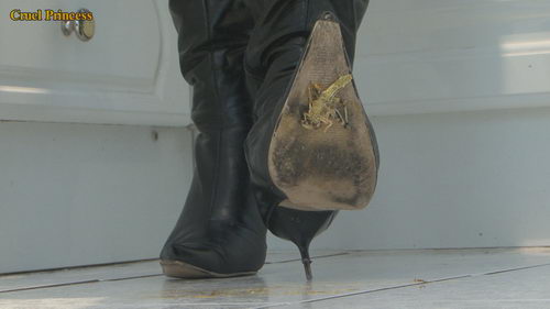 Vixen V Locusts Wearing Her Favourite Very Well-Worn Boots