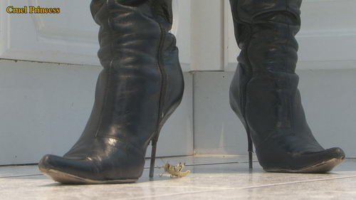 Vixen V Locusts Wearing Her Favourite Very Well-Worn Boots