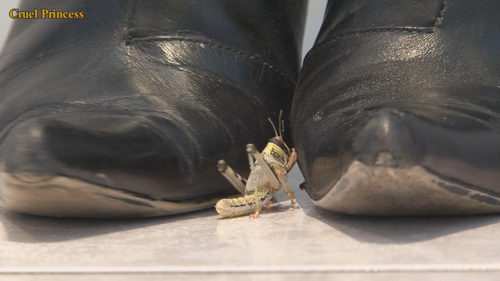 Vixen V Locusts Wearing Her Favourite Very Well-Worn Boots