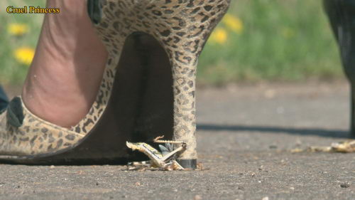 Ladies Crush Locusts Camera 2 Part 1