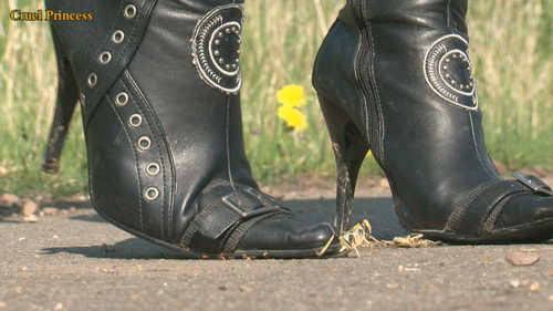 Ladies Crush Locusts Camera 2 Part 1