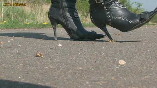 Ladies Crush Locusts Camera 2 Part 1