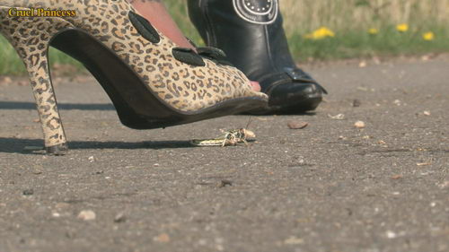 Ladies Crush Locusts Camera 2 Part 1
