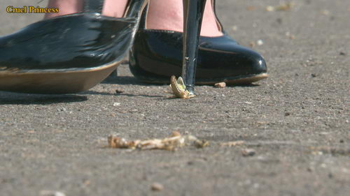 Ladies Crush Locusts Camera 2 Part 2