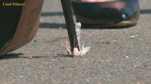 Ladies Crush Locusts Camera 2 Part 2