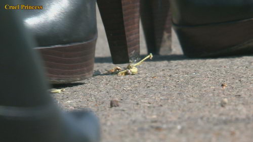 Ladies Crush Locusts Camera 2 Part 3