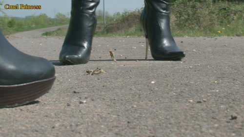 Ladies Crush Locusts Camera 2 Part 3