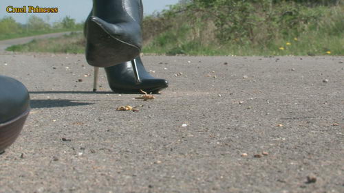 Ladies Crush Locusts Camera 2 Part 3