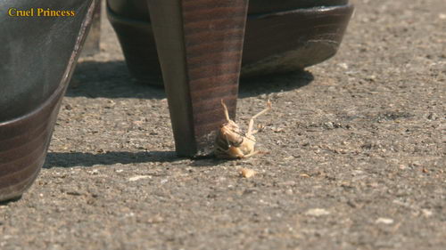Ladies Crush Locusts Camera 2 Part 3