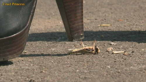 Ladies Crush Locusts Camera 2 Part 3