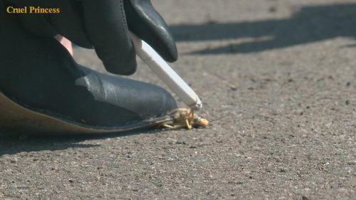 Ladies Crush Locusts Camera 2 Part 4