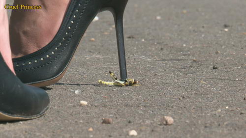 Ladies Crush Locusts Camera 2 Part 4