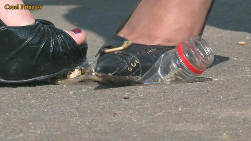 Ladies Crush Locusts Imprisoned Inside Bottle