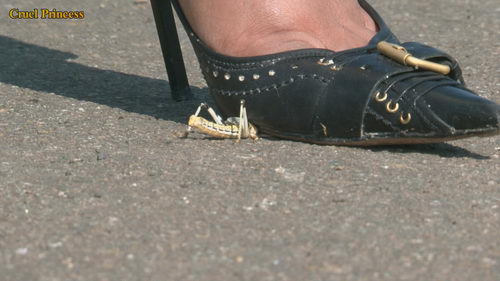 Ladies Crush Locusts Imprisoned Inside Bottle