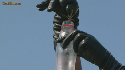 Ladies Crush Locusts Imprisoned Inside Bottle