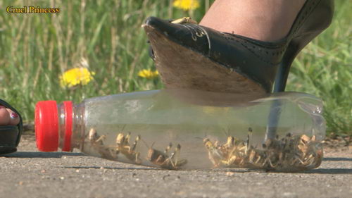 Ladies Crush Locusts Imprisoned Inside Bottle