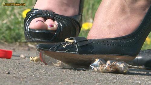 Ladies Crush Locusts Imprisoned Inside Bottle