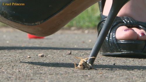 Ladies Crush Locusts Imprisoned Inside Bottle