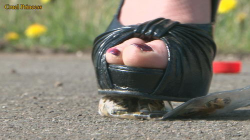 Ladies Crush Locusts Imprisoned Inside Bottle