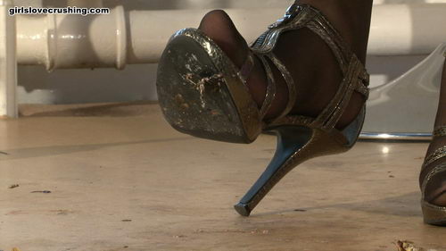 Kayla Gold Strappy High Heels V Crickets & Locusts