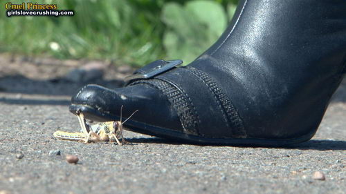 Ladies Crush Locusts Camera 1 Part 1