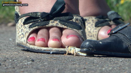 Ladies Crush Locusts Camera 1 Part 1