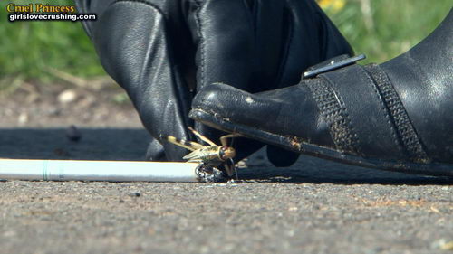Ladies Crush Locusts Camera 1 Part 1