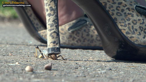 Ladies Crush Locusts Camera 1 Part 1