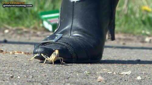 Ladies Crush Locusts Camera 1 Part 1