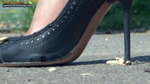 Ladies Crush Locusts Camera 1 Part 2