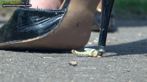 Ladies Crush Locusts Camera 1 Part 2