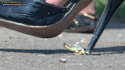 Ladies Crush Locusts Camera 1 Part 2