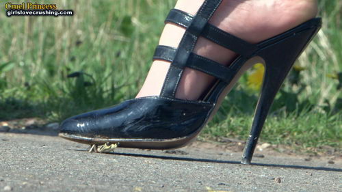 Ladies Crush Locusts Camera 1 Part 2