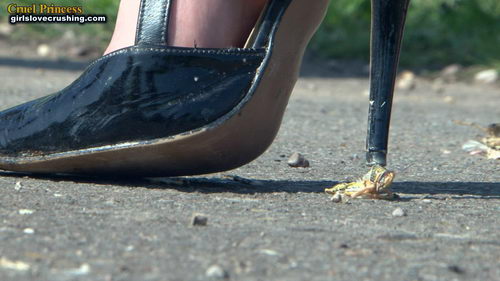 Ladies Crush Locusts Camera 1 Part 2
