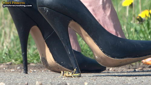 Ladies Crush Locusts Camera 1 Part 4