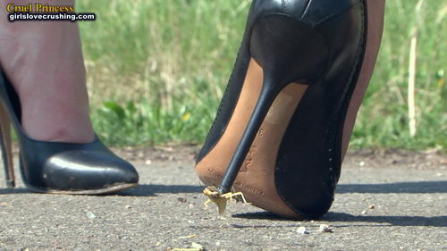 Ladies Crush Locusts Camera 1 Part 4