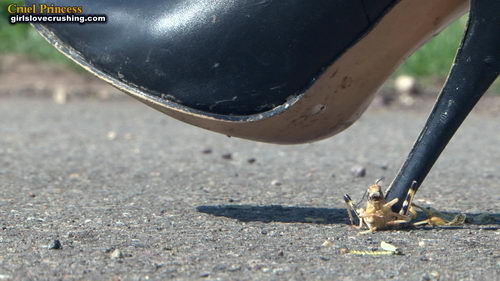 Ladies Crush Locusts Camera 1 Part 4