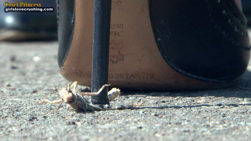 Ladies Crush Locusts Camera 1 Part 4