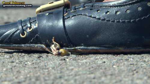 Ladies Crush Locusts Camera 1 Part 4