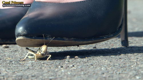 Ladies Crush Locusts Camera 1 Part 4