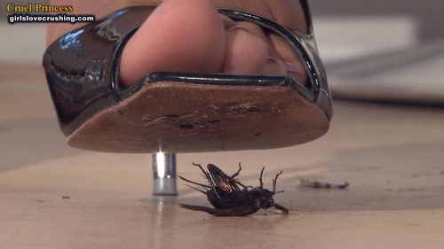 Kayla Silver Heels V Crickets