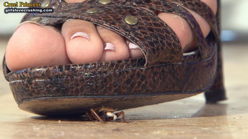 Kayla Strappy Snakeskin Heels V Crickets